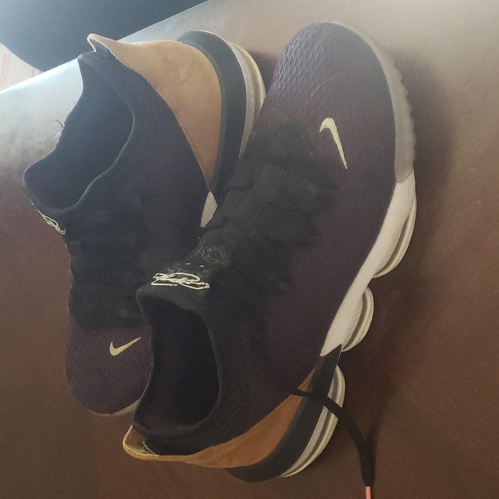 LeBron 16s